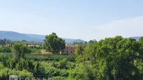 Casa o xalet en venda en Vallmoll amb Terrassa