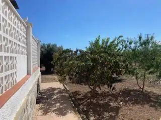 Finca rústica en venta en Fuente Álamo de Murcia con Calefacción, Jardín privado y Trastero