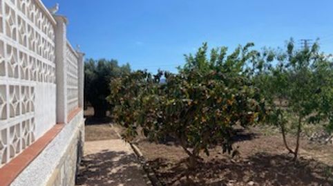 Foto 2 de Finca rústica en venta en Centro, Fuente Álamo de Murcia
