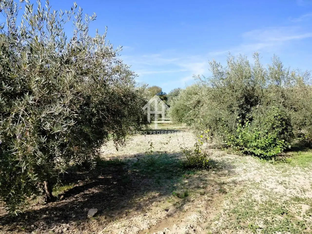 Terreni e lotti in vendita a Loja, imagen 21