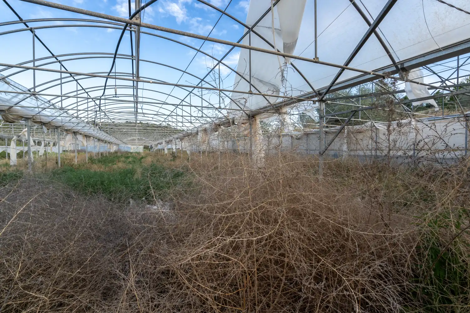 Exterior view of Land for sale in El Pinell de Brai