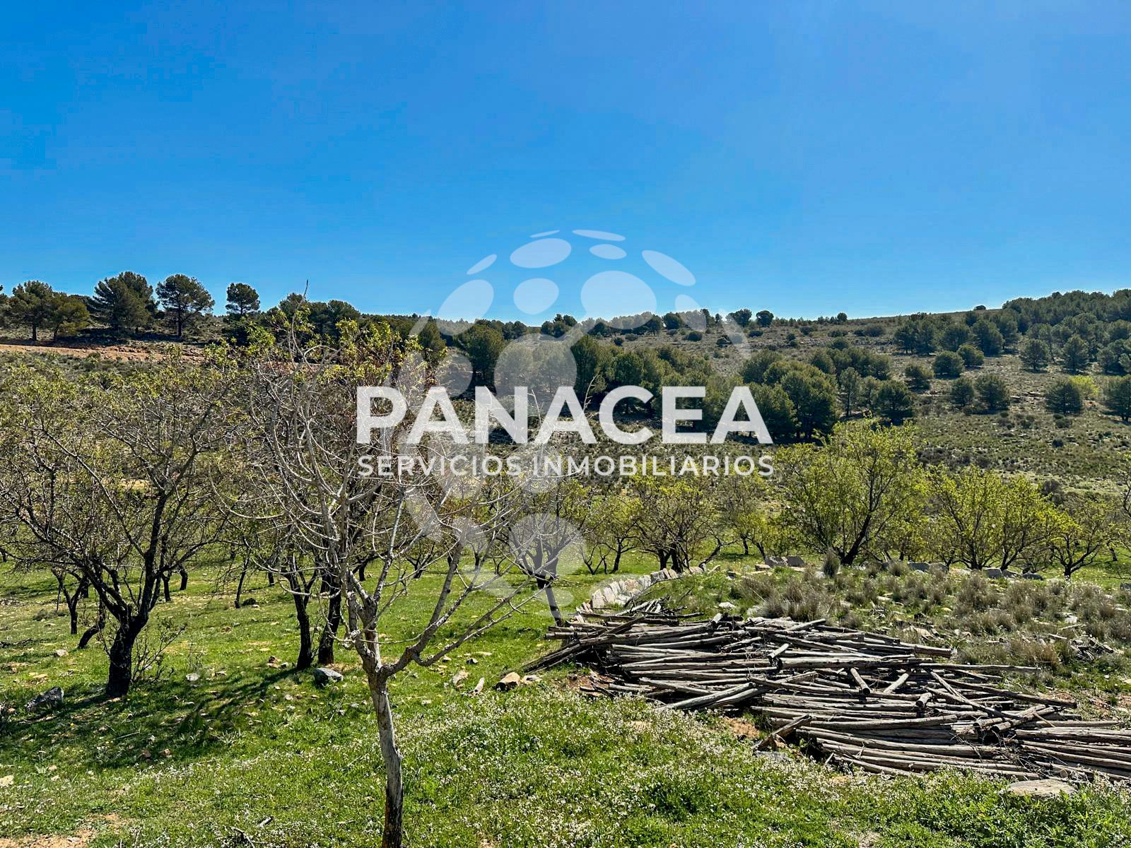 Finca rústica en venda