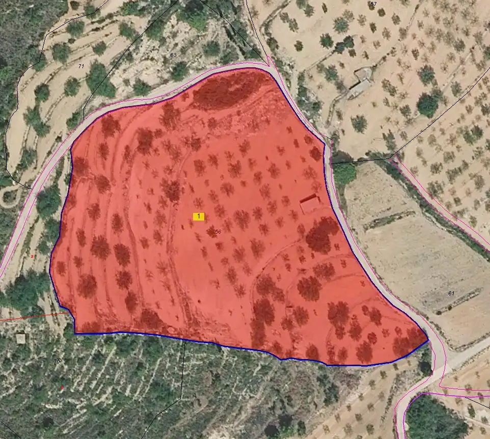 Rural land for sale in Cervera del Maestre, imagen 2