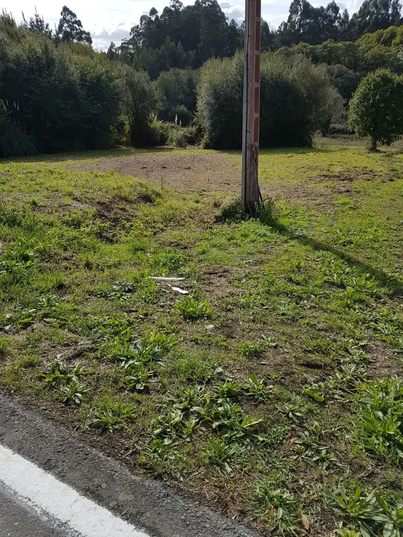 Terreno residenziale in vendita a De Carnoedo 21, imagen 4