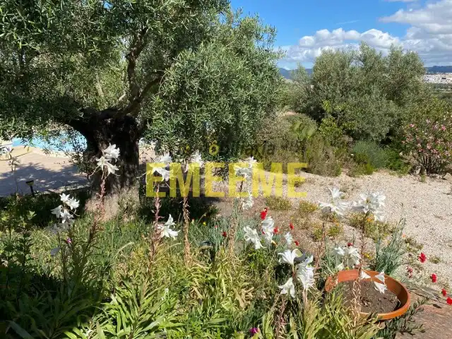 Finca rústica en venta en Centro