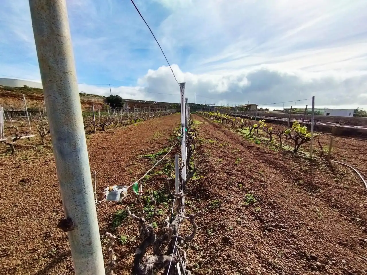 Terreno rustico in vendita a Arico, imagen 18