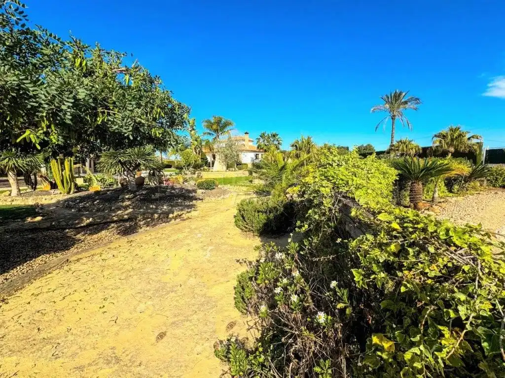 Jardí de Casa o xalet en venda en Orihuela amb Aire condicionat, Jardí privat i Traster