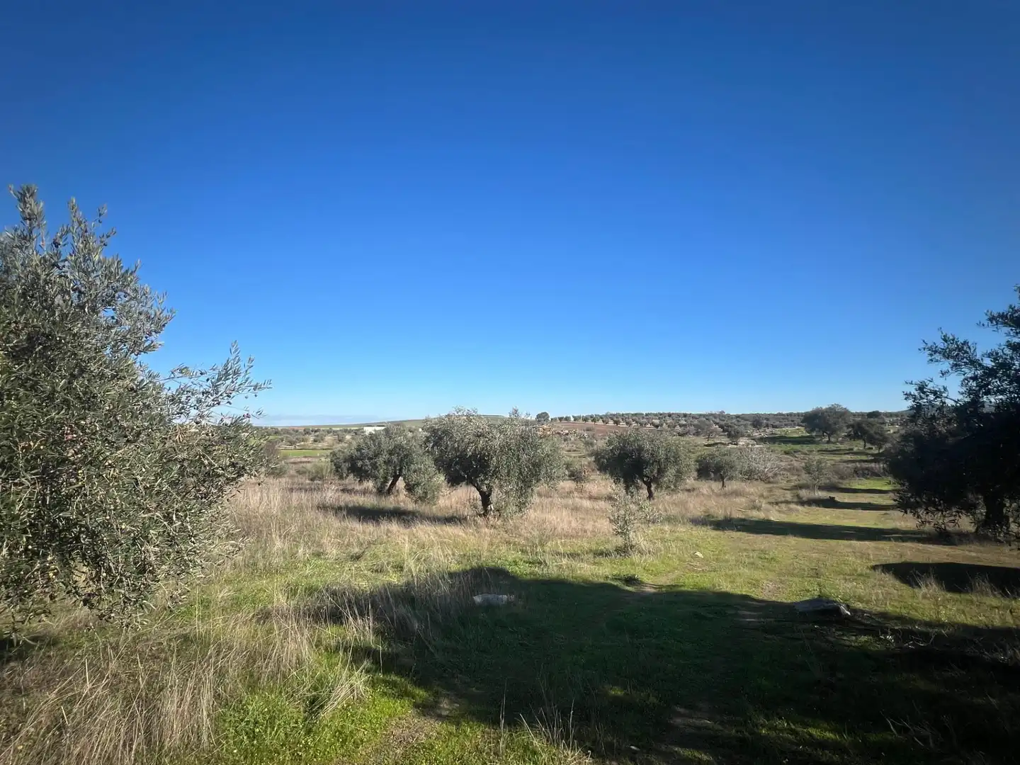 Chalet en venta en Camino Polígono 12 Parcela 105 PAJON. LA HABA (BADAJOZ), imagen 13