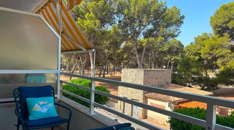 Foto 2 de Estudi de lloguer a Santa Ponça, Calvià