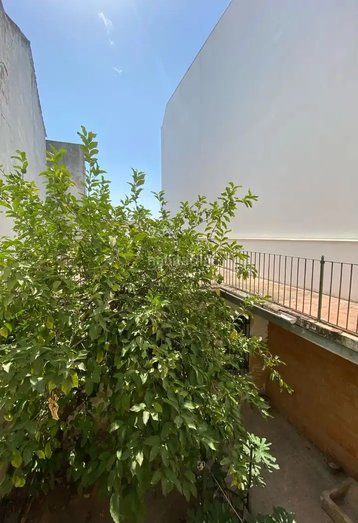 House with garden for sale in Calle la Parra 19