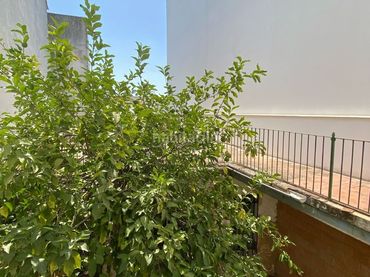Casa con jardín en venta en Calle la Parra 19