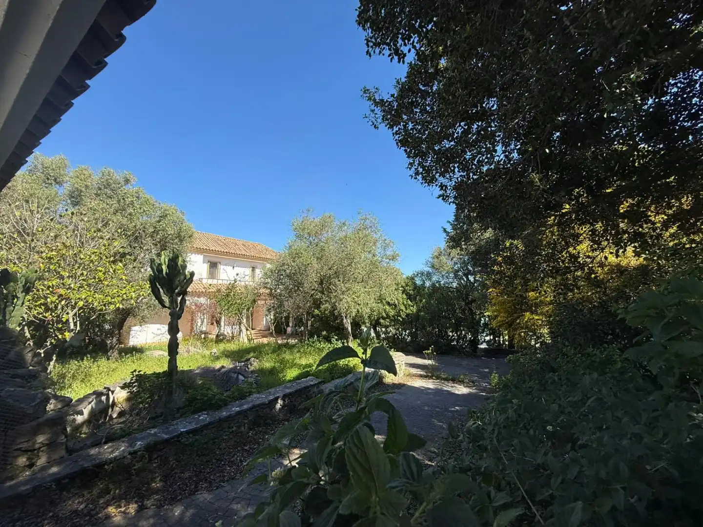 Garden of Houses for sale in Benalup-Casas Viejas  with Heating, Private garden and Terrace