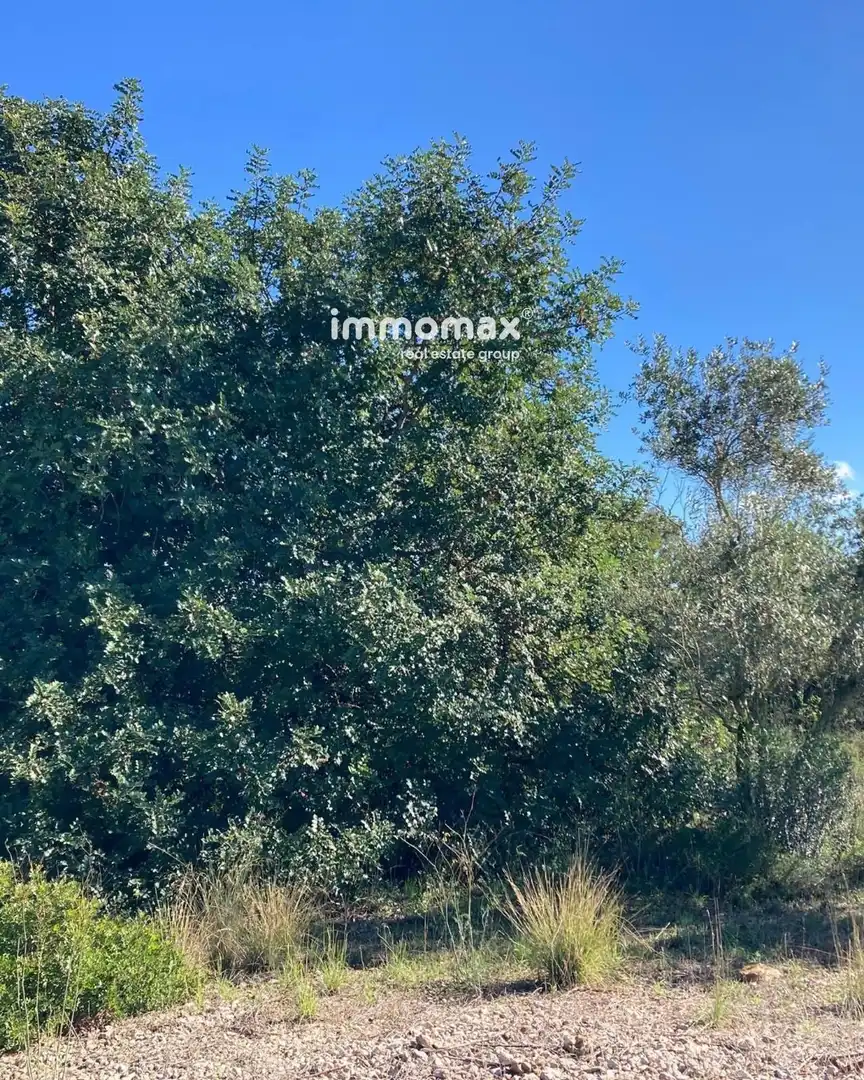 Rural land for sale in Godall, imagen 17