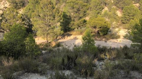 Photo 5 of Land for sale in  Lorca, S/n, Puntarrón, Murcia