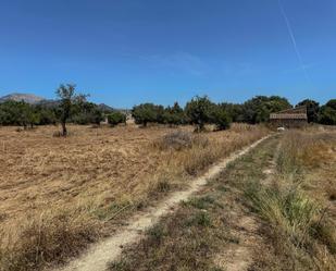 Finca rústica en venda en Selva amb Aire condicionat, Terrassa i Piscina