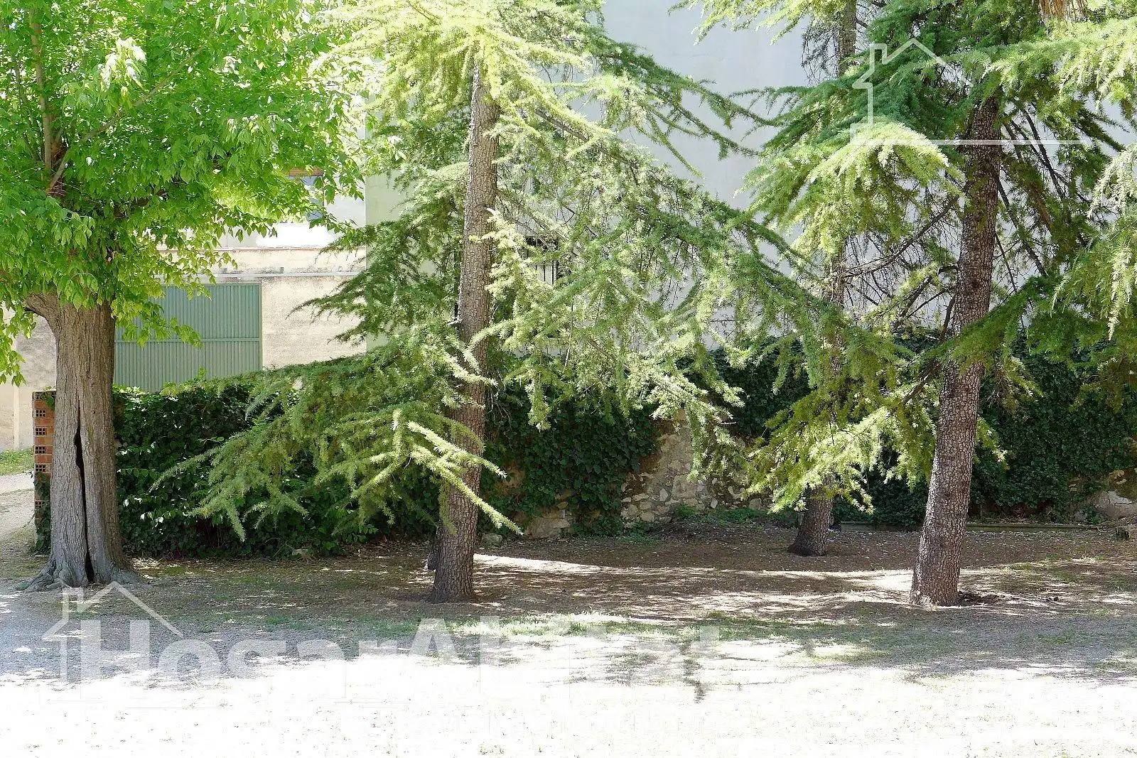 Casa con terrazza in vendita a Avenida PASSEIG DEL COMTAT, imagen 45