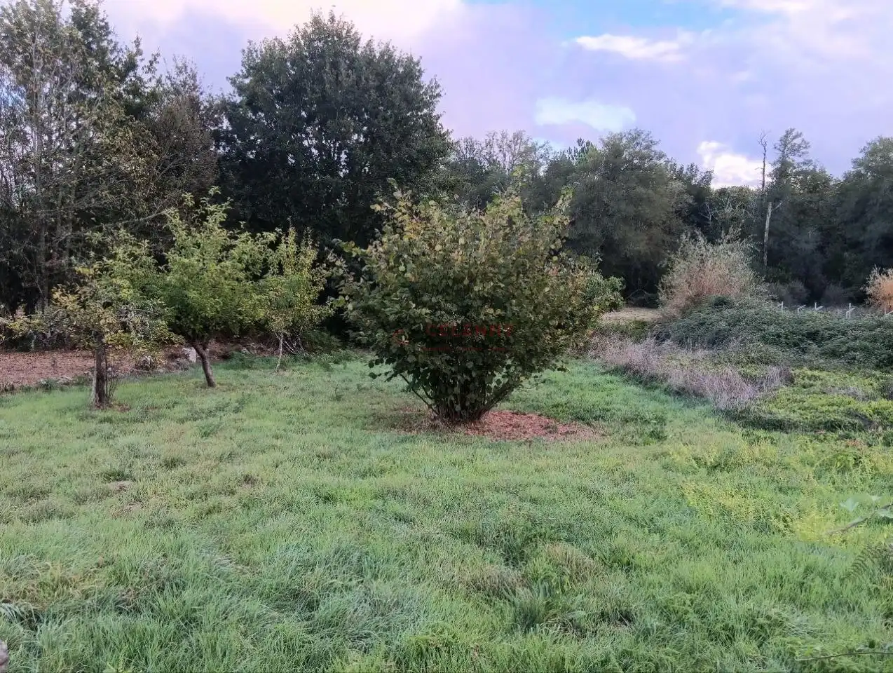 Rustikales Grundstück zum Verkauf in Amoeiro, imagen 3