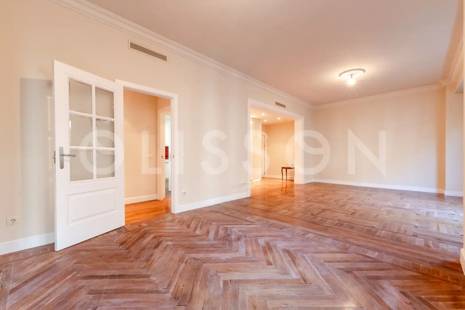 Sala d'estar de Pis en venda en Barrio de Salamanca