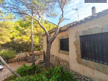 Maison rustique avec jardin à vendre à Nord
