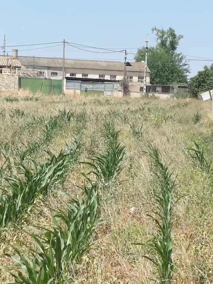 Terreni e lotti in vendita a Camino de Zamoray, imagen 7