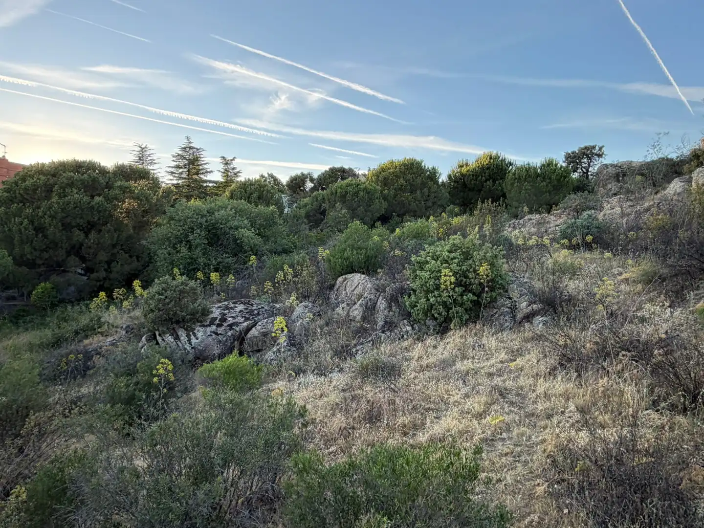 Residencial en venta en Torrelodones