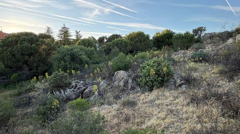 Foto 4 de Residencial en venta en Los Robles, Torrelodones