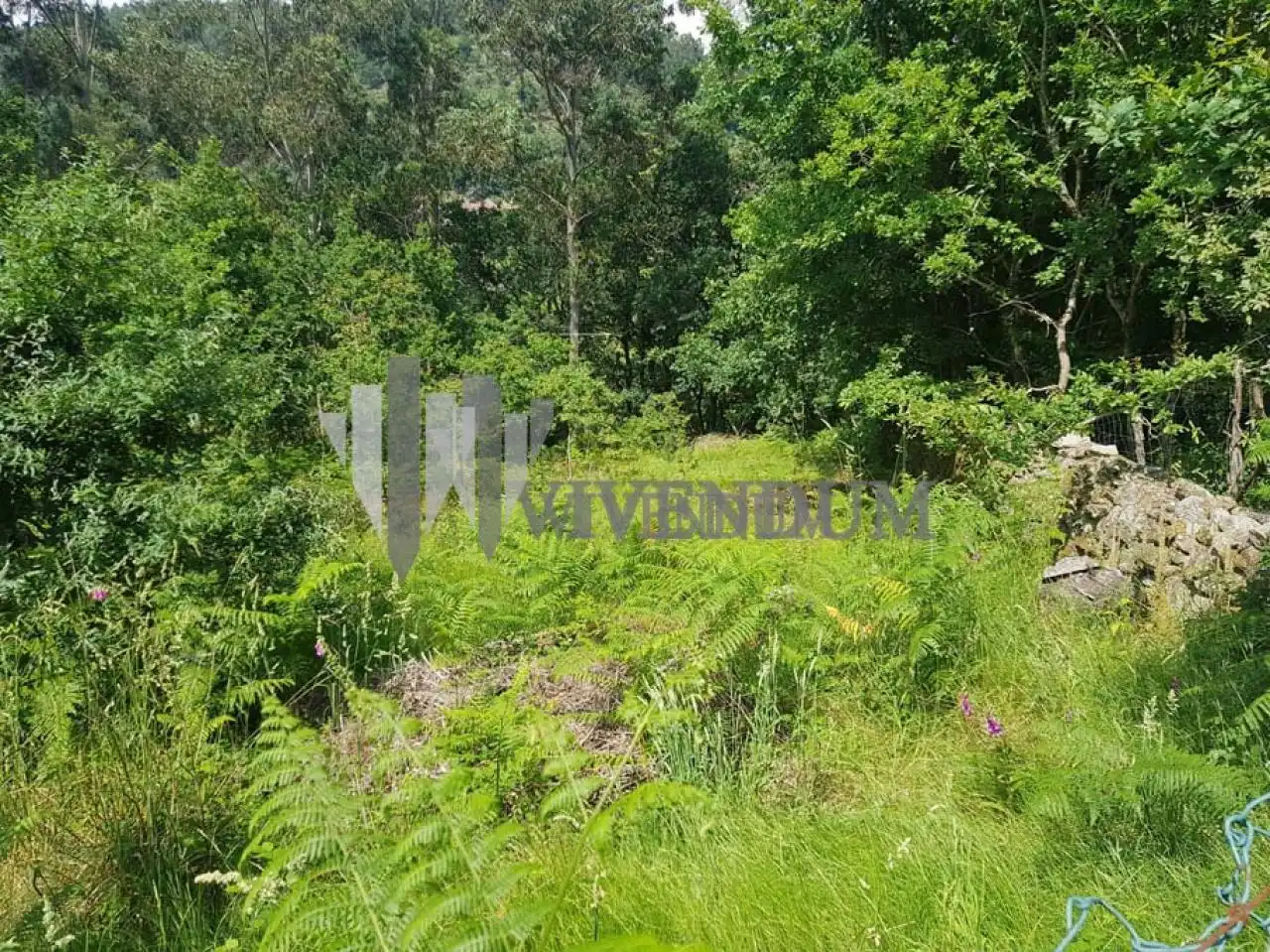 Residential for sale in A Lama  