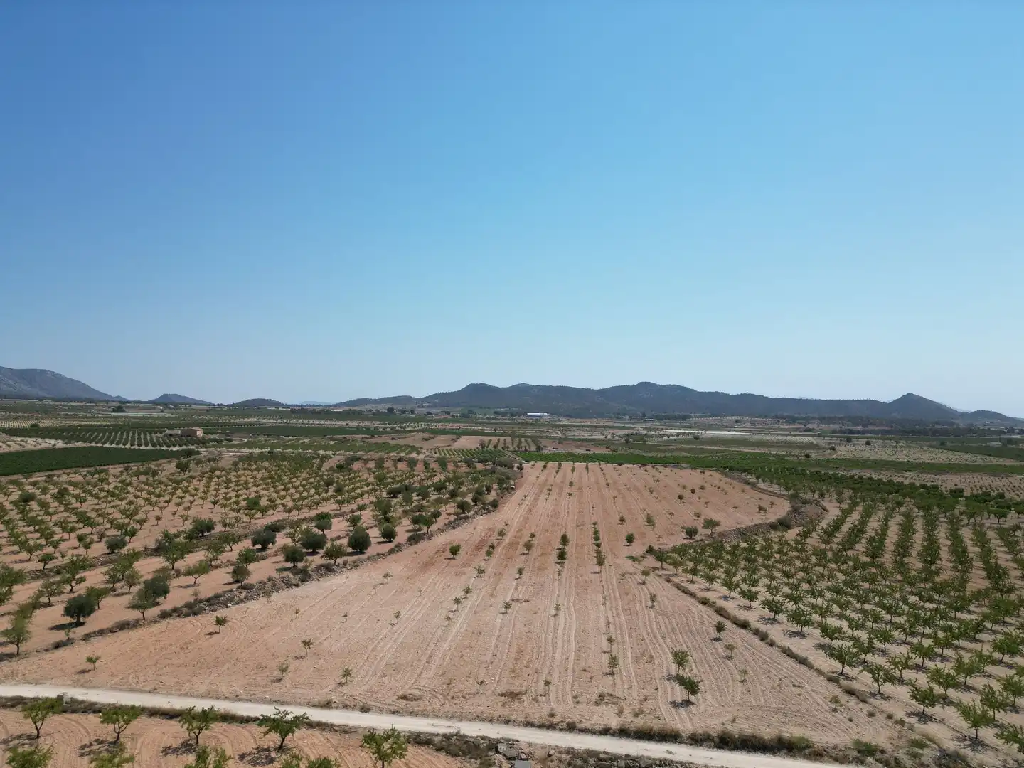 Terreno residencial en venta en El Pinós / Pinoso, imagen 8
