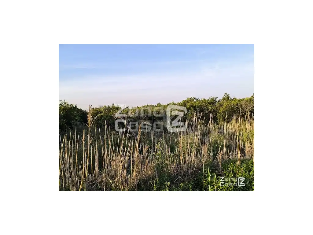 Country homes for sale in Algemesí, Valencia
