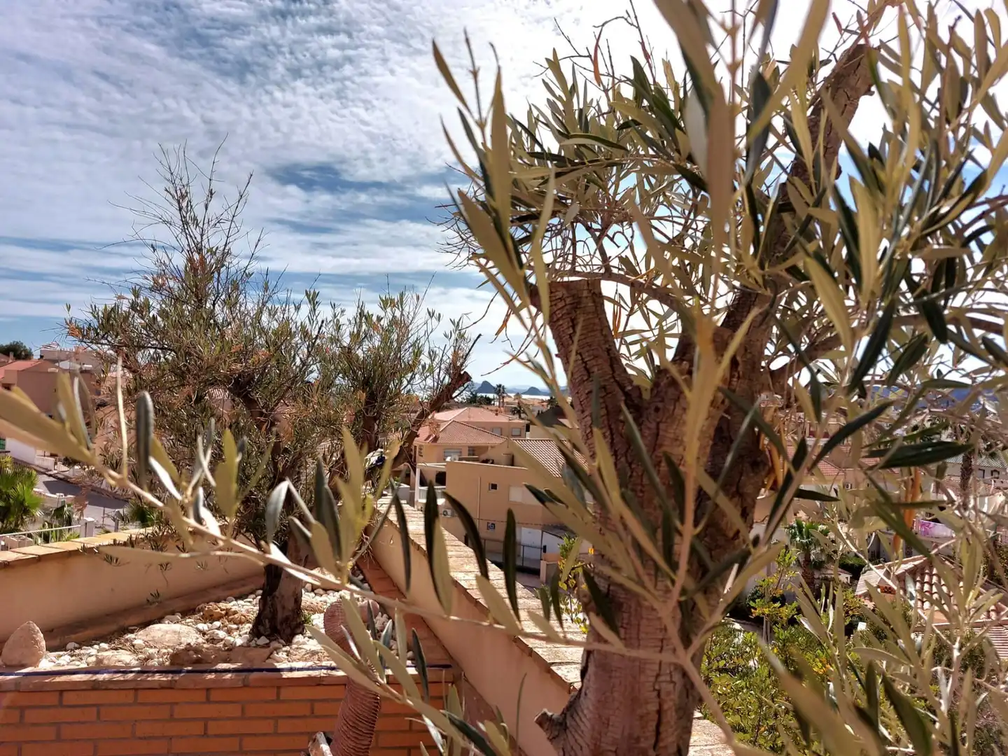 Villa avec terrasse à vendre à Calabardina, imagen 37