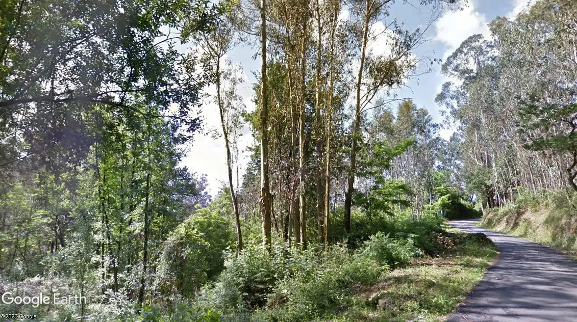 Terrain rustique à vendre à Moaña, imagen 2