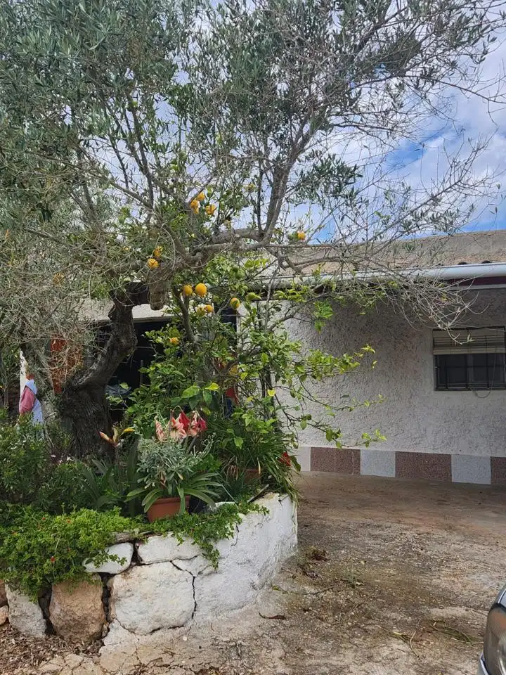 Casa rustica con giardino in vendita a Burgà, imagen 22