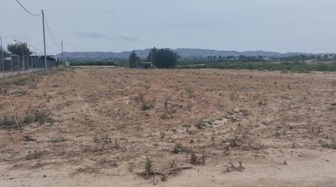 Terreno Rustico con uso agrario en Librilla, immagine 5