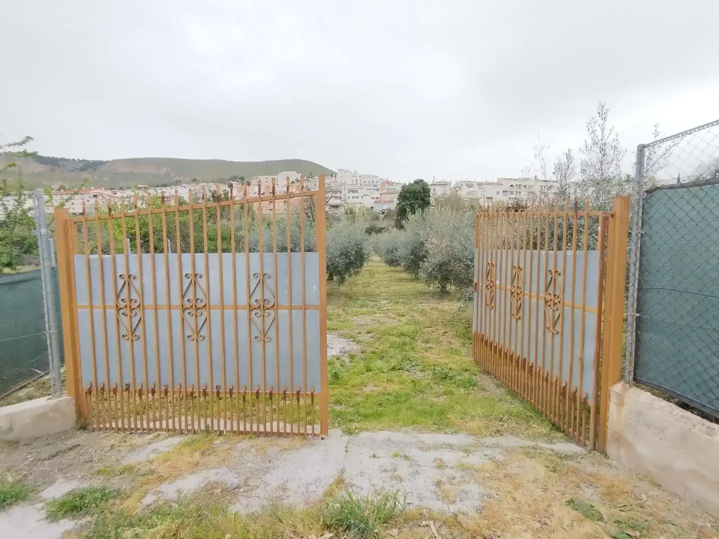 Terreni e lotti in vendita a Carretera Cenes de la Vega