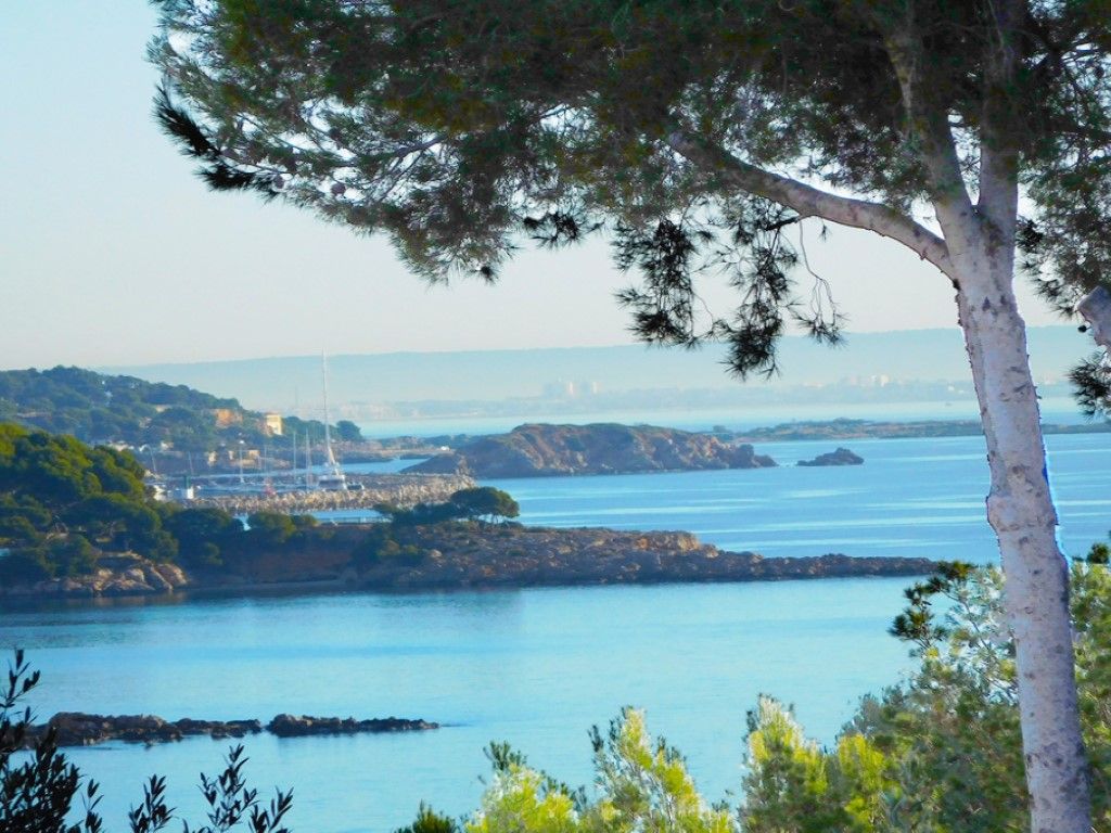 Exterior view of Residential for sale in Calvià