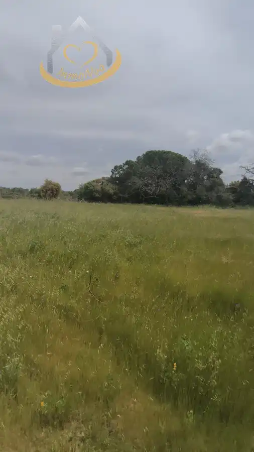 Terreni e lotti in vendita a Villablanca, imagen 4
