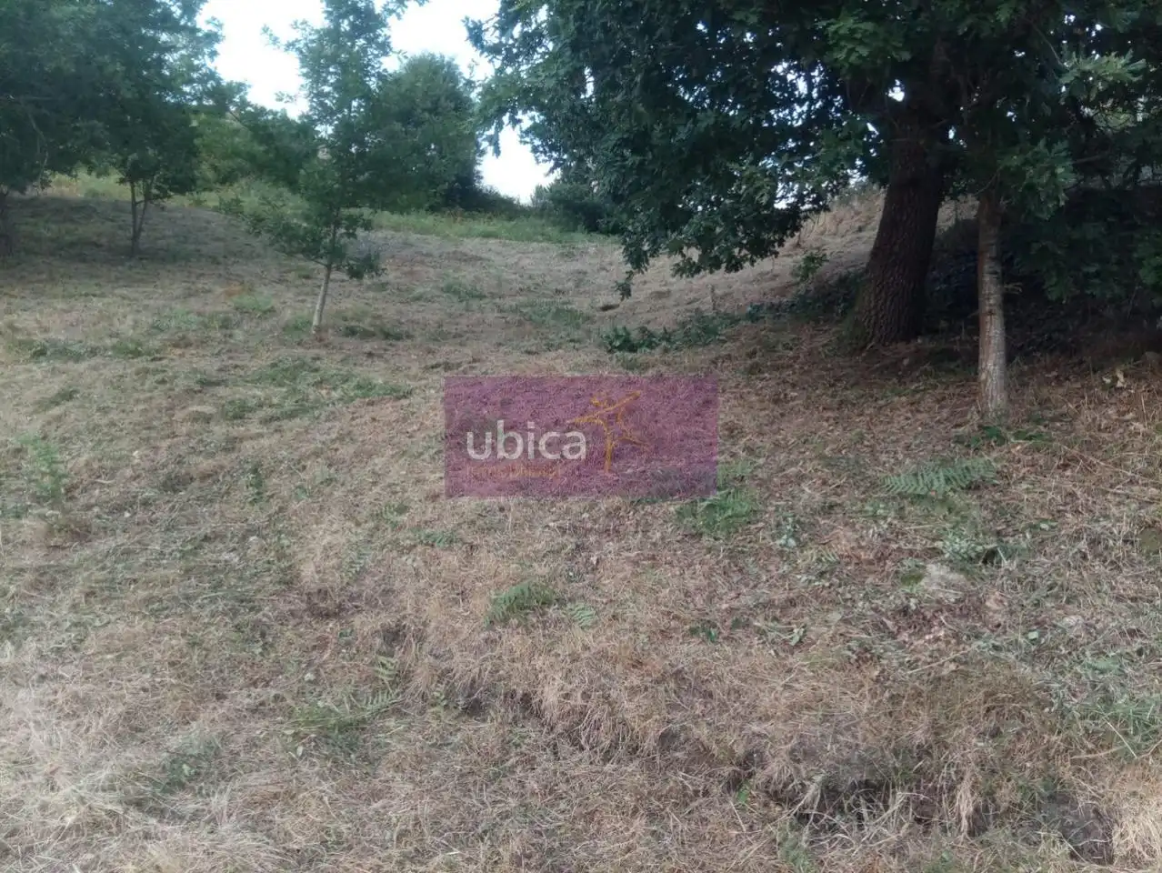 Terreno residencial en venta en Pazos de Borbén, imagen 8