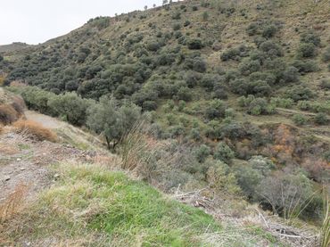Terreno rustico in vendita a EXTRARRADIO