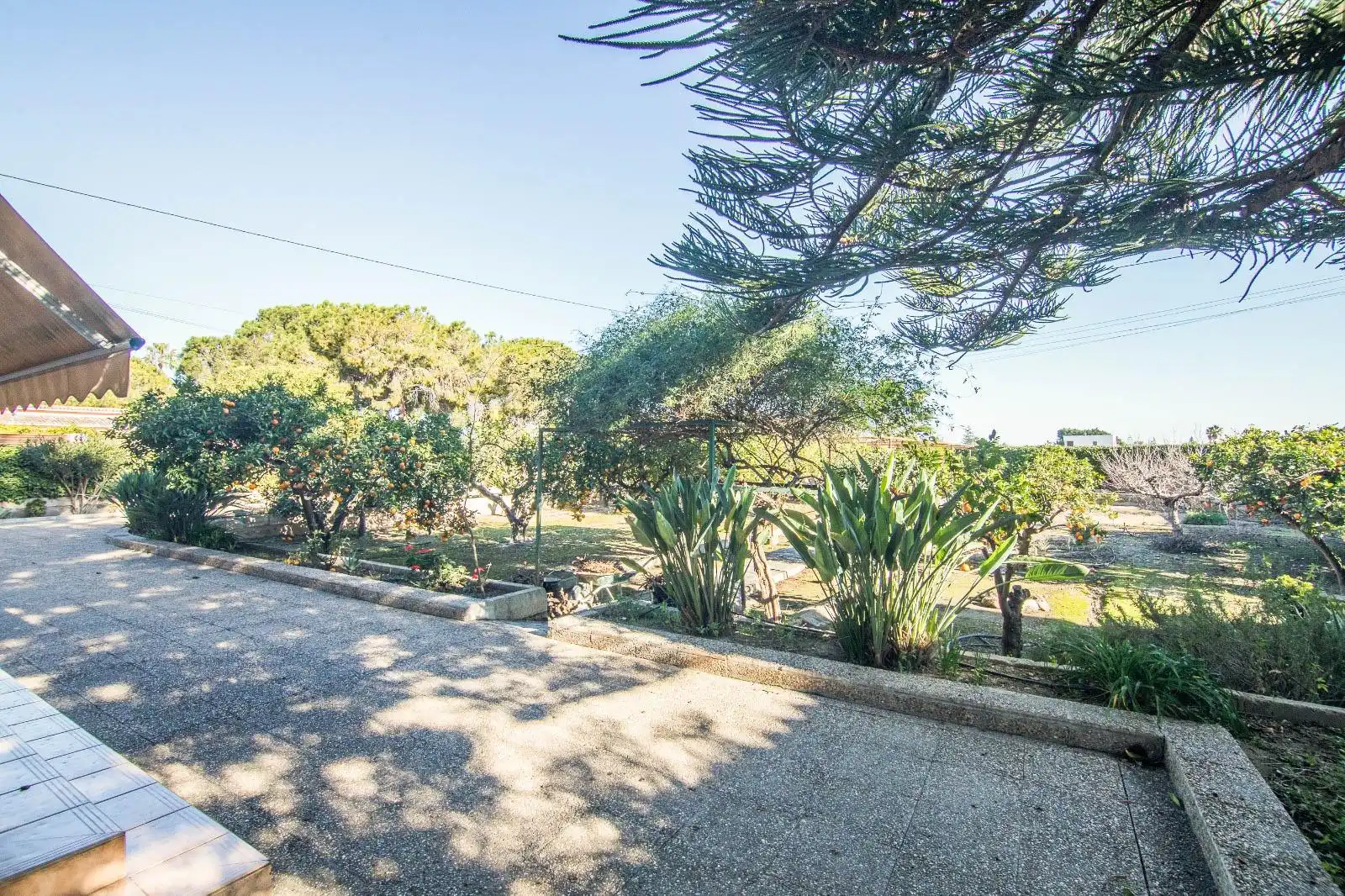 Vista exterior de Casa o xalet en venda en Elche / Elx amb Terrassa, Traster i Piscina