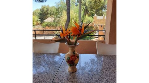 Foto 2 de Casa o chalet en venta en Partida Pla de Pavia, Albalat dels Tarongers, Valencia