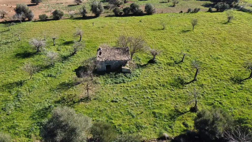 Terrain rustique à vendre à Selva, imagen 5