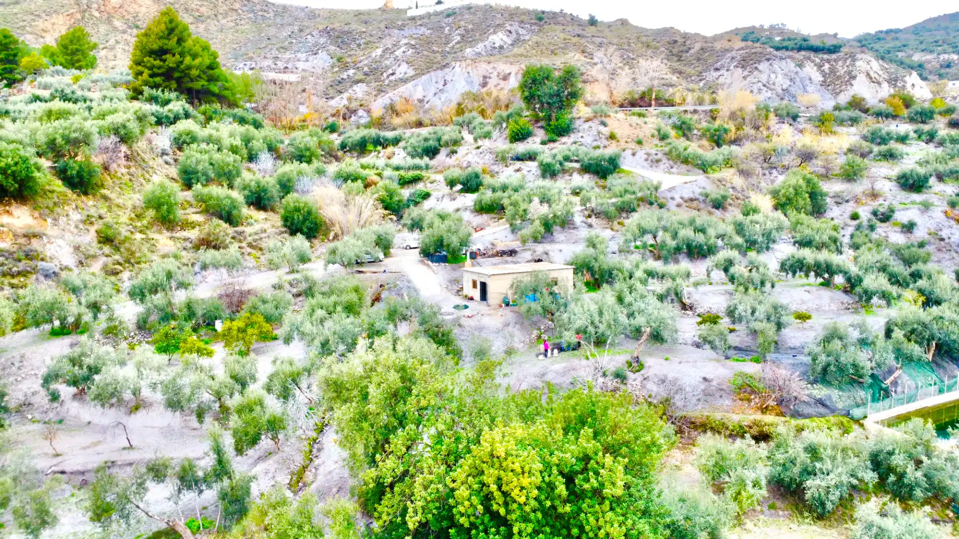 Terreni e lotti in vendita a Lugar Cortijo El Peñon, imagen 34