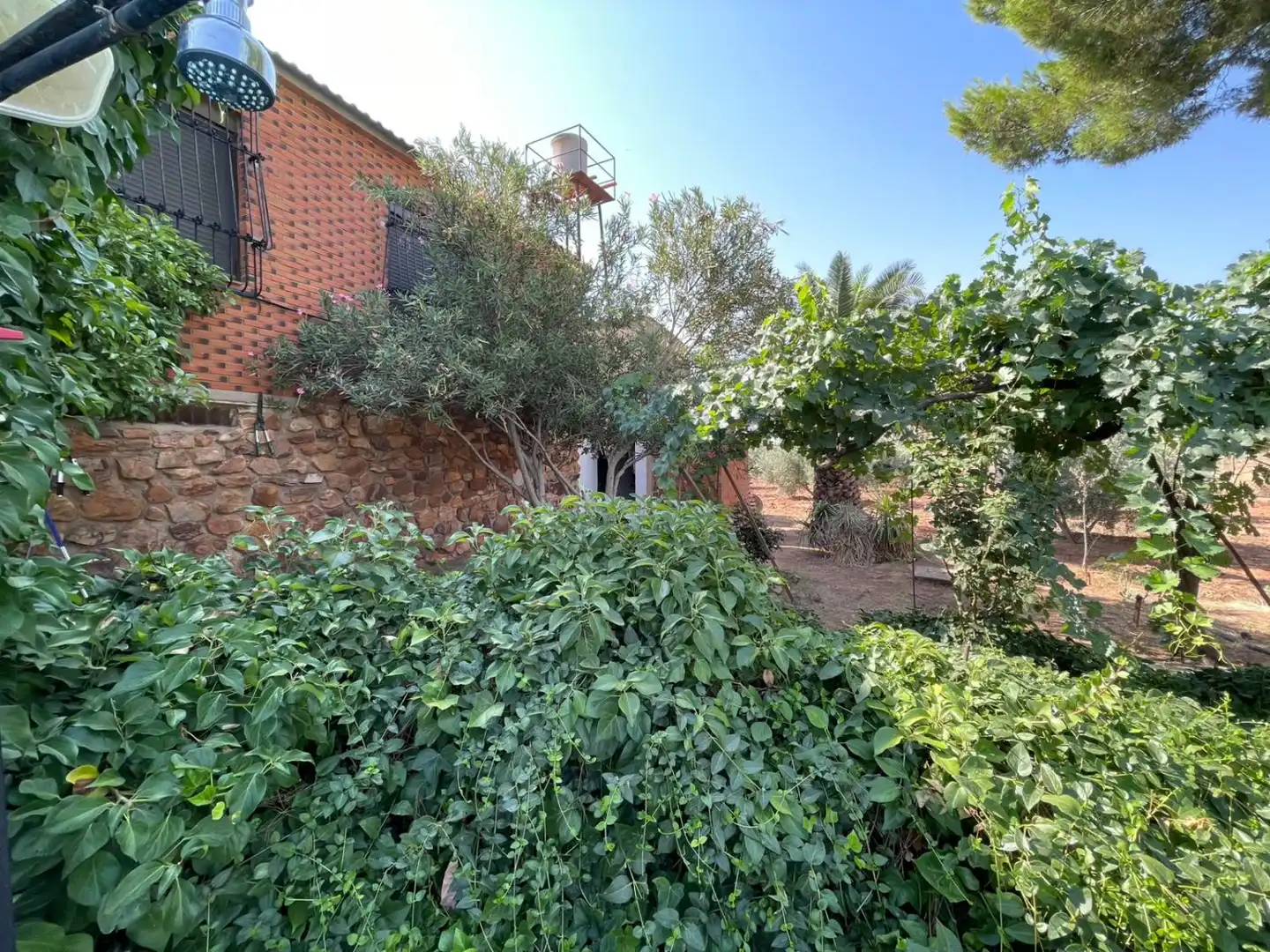 Casa rustica con balcone in vendita a Valdepeñas, imagen 53