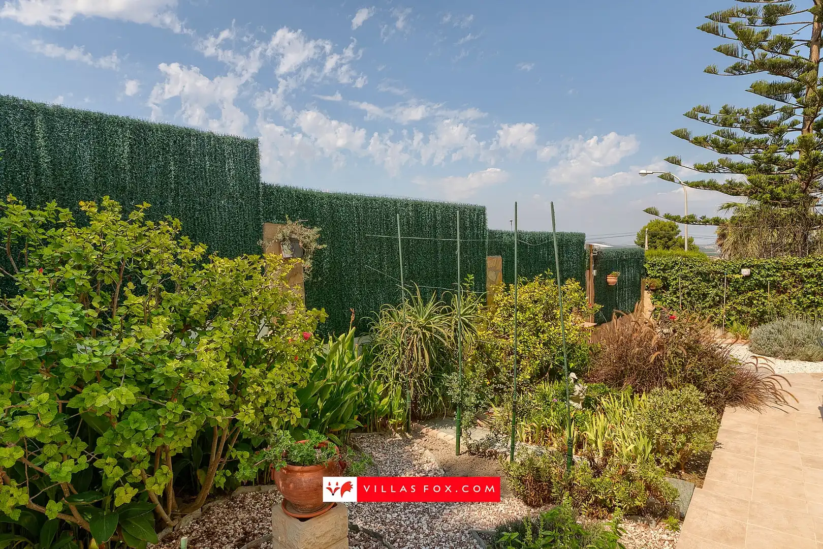 Casa en venta en San Miguel de Salinas, imagen 32