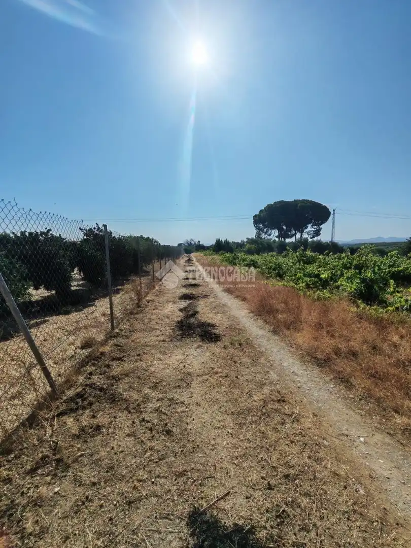 Terreno en venta en Marchena