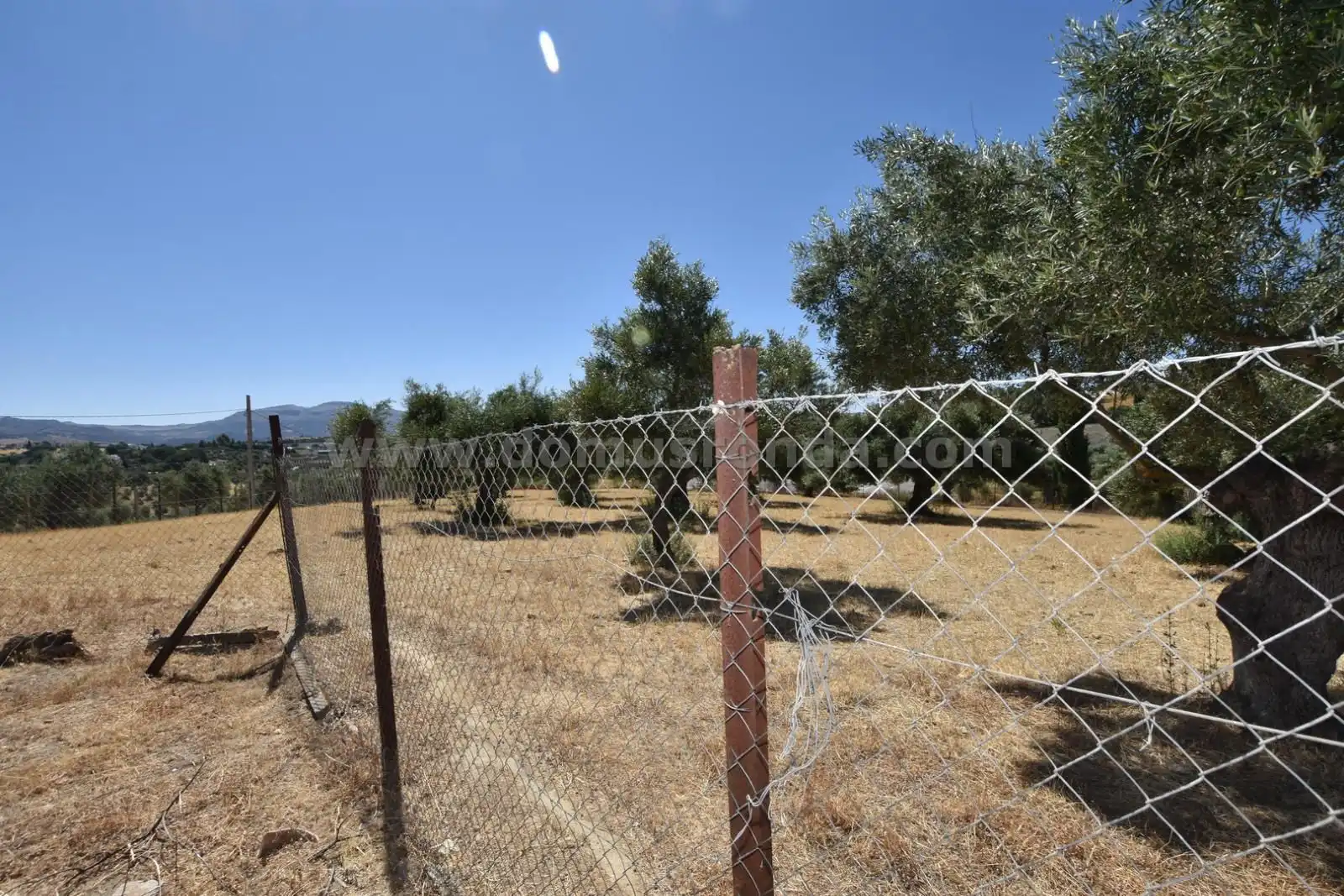 Finca rústica en venda en Ronda amb Terrassa i Traster