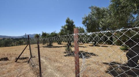 Foto 3 de Finca rústica en venda a Partidas Norte, Ronda