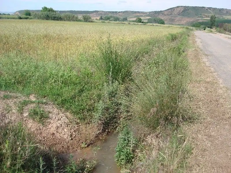 Terreny rústic en venda a Villamediana de Iregua, imagen 3