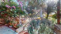 Garden of House or chalet for sale in Granadilla de Abona  with Private garden, Terrace and Furnished