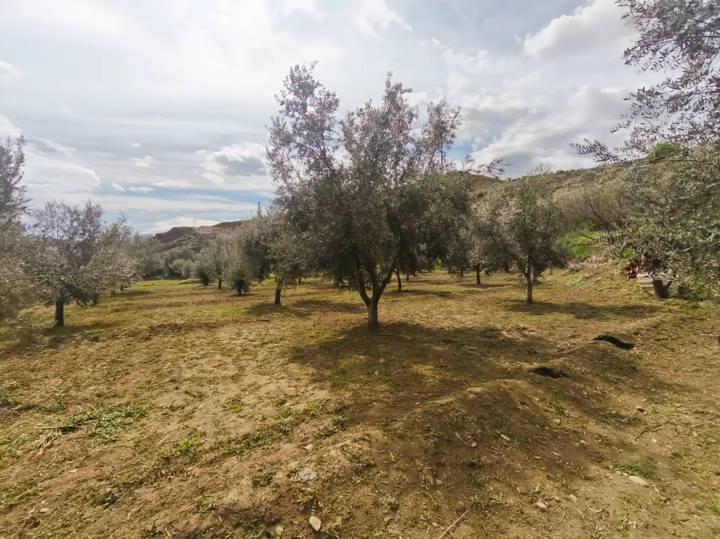 Finca rústica en venda en Abla